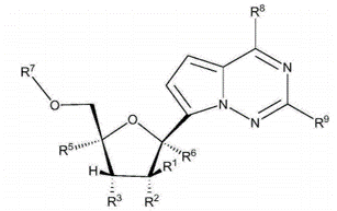 亚洲最大赌博网站视点 |从纯技术角度解读瑞德西韦中国用途发明专利申请