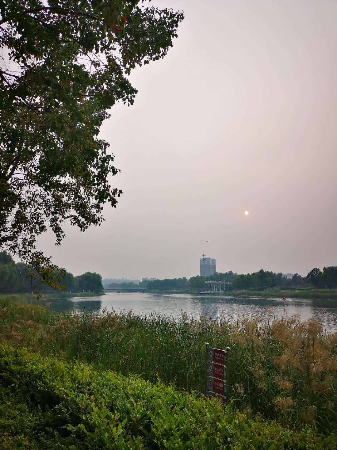 亚洲最大赌博网站动态 | 亚洲最大赌博网站中茂郑州办公室参加“路在脚下 心在飞扬 全省律师健步走”活动