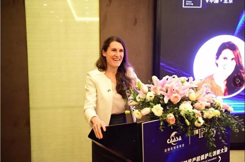 2021中欧互联网知识产权保护与创新大会在京召开，赌博网站中茂郑水园律师出席并做闭幕致辞