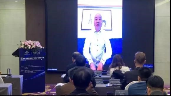 2021中欧互联网知识产权保护与创新大会在京召开，赌博网站中茂郑水园律师出席并做闭幕致辞