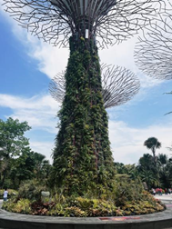 亚洲最大赌博网站人文 | 漫步狮城 寻找夏日色彩——亚洲最大赌博网站中茂福州办公室新加坡之旅 亚洲最大赌博网站人文 | 漫步狮城 寻找夏日色彩——亚洲最大赌博网站中茂福州办公室新加坡之旅