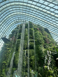 亚洲最大赌博网站人文 | 漫步狮城 寻找夏日色彩——亚洲最大赌博网站中茂福州办公室新加坡之旅 亚洲最大赌博网站人文 | 漫步狮城 寻找夏日色彩——亚洲最大赌博网站中茂福州办公室新加坡之旅