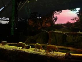 亚洲最大赌博网站人文 | 漫步狮城 寻找夏日色彩——亚洲最大赌博网站中茂福州办公室新加坡之旅 亚洲最大赌博网站人文 | 漫步狮城 寻找夏日色彩——亚洲最大赌博网站中茂福州办公室新加坡之旅