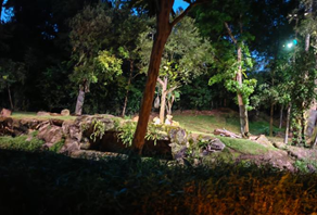 亚洲最大赌博网站人文 | 漫步狮城 寻找夏日色彩——亚洲最大赌博网站中茂福州办公室新加坡之旅 亚洲最大赌博网站人文 | 漫步狮城 寻找夏日色彩——亚洲最大赌博网站中茂福州办公室新加坡之旅