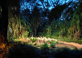 亚洲最大赌博网站人文 | 漫步狮城 寻找夏日色彩——亚洲最大赌博网站中茂福州办公室新加坡之旅 亚洲最大赌博网站人文 | 漫步狮城 寻找夏日色彩——亚洲最大赌博网站中茂福州办公室新加坡之旅