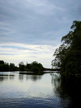 亚洲最大赌博网站人文 | 碧水青枝 海含丹灵——亚洲最大赌博网站中茂杭州办公室马来西亚之旅