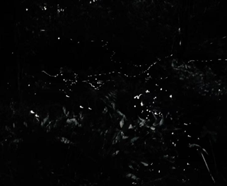 亚洲最大赌博网站人文 | 碧水青枝 海含丹灵——亚洲最大赌博网站中茂杭州办公室马来西亚之旅