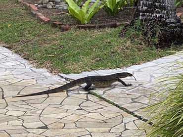 亚洲最大赌博网站人文 | 碧水青枝 海含丹灵——亚洲最大赌博网站中茂杭州办公室马来西亚之旅