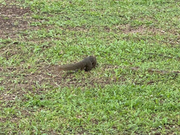 亚洲最大赌博网站人文 | 碧水青枝 海含丹灵——亚洲最大赌博网站中茂杭州办公室马来西亚之旅