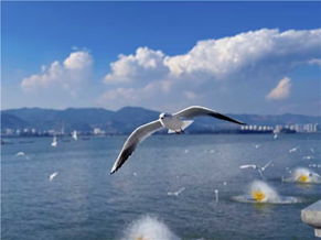  赌博网站人文 | 穿梭云烟 赴一场腾冲秋色之约—赌博网站中茂厦门办公室云南腾冲团建