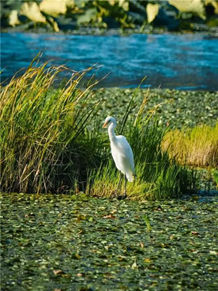 赌博网站人文 | 穿梭云烟 赴一场腾冲秋色之约—赌博网站中茂厦门办公室云南腾冲团建 赌博网站人文 | 穿梭云烟 赴一场腾冲秋色之约—赌博网站中茂厦门办公室云南腾冲团建
