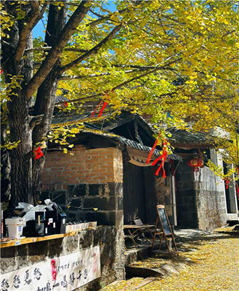  赌博网站人文 | 穿梭云烟 赴一场腾冲秋色之约—赌博网站中茂厦门办公室云南腾冲团建