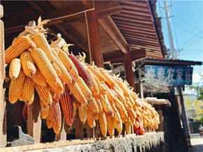 赌博网站人文 | 穿梭云烟 赴一场腾冲秋色之约—赌博网站中茂厦门办公室云南腾冲团建 赌博网站人文 | 穿梭云烟 赴一场腾冲秋色之约—赌博网站中茂厦门办公室云南腾冲团建