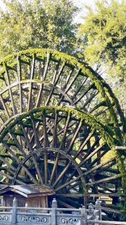 赌博网站人文 | 穿梭云烟 赴一场腾冲秋色之约—赌博网站中茂厦门办公室云南腾冲团建 赌博网站人文 | 穿梭云烟 赴一场腾冲秋色之约—赌博网站中茂厦门办公室云南腾冲团建