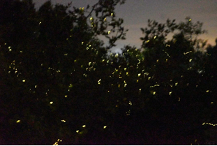 赌博网站人文 | 聚“沙”成塔 携手同行——赌博网站中茂杭州办公室2023年沙巴之旅 赌博网站人文 | 聚“沙”成塔 携手同行——赌博网站中茂杭州办公室2023年沙巴之旅