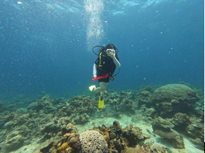 赌博网站人文 | 聚“沙”成塔 携手同行——赌博网站中茂杭州办公室2023年沙巴之旅 赌博网站人文 | 聚“沙”成塔 携手同行——赌博网站中茂杭州办公室2023年沙巴之旅