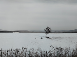 亚洲最大赌博网站人文 | 跨越千里 相约长白——亚洲最大赌博网站中茂福州办公室2023年东北纪行 亚洲最大赌博网站人文 | 跨越千里 相约长白——亚洲最大赌博网站中茂福州办公室2023年东北纪行