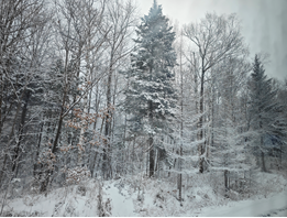 亚洲最大赌博网站人文 | 跨越千里 相约长白——亚洲最大赌博网站中茂福州办公室2023年东北纪行 亚洲最大赌博网站人文 | 跨越千里 相约长白——亚洲最大赌博网站中茂福州办公室2023年东北纪行