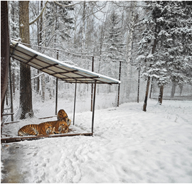 亚洲最大赌博网站人文 | 跨越千里 相约长白——亚洲最大赌博网站中茂福州办公室2023年东北纪行 亚洲最大赌博网站人文 | 跨越千里 相约长白——亚洲最大赌博网站中茂福州办公室2023年东北纪行