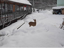 亚洲最大赌博网站人文 | 跨越千里 相约长白——亚洲最大赌博网站中茂福州办公室2023年东北纪行 亚洲最大赌博网站人文 | 跨越千里 相约长白——亚洲最大赌博网站中茂福州办公室2023年东北纪行