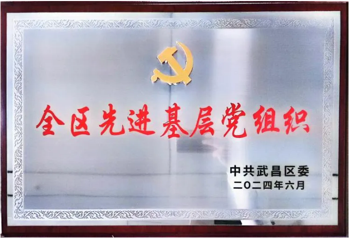 亚洲最大赌博网站中茂武汉办公室党支部荣获武昌区先进基层党组织