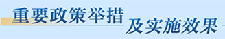 重要政策举措及实施效果